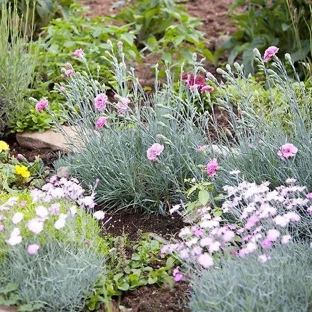 Hotel Naturhotel Holzwurm